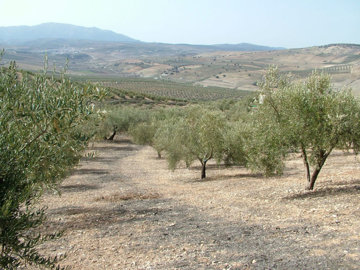 398dscf0126