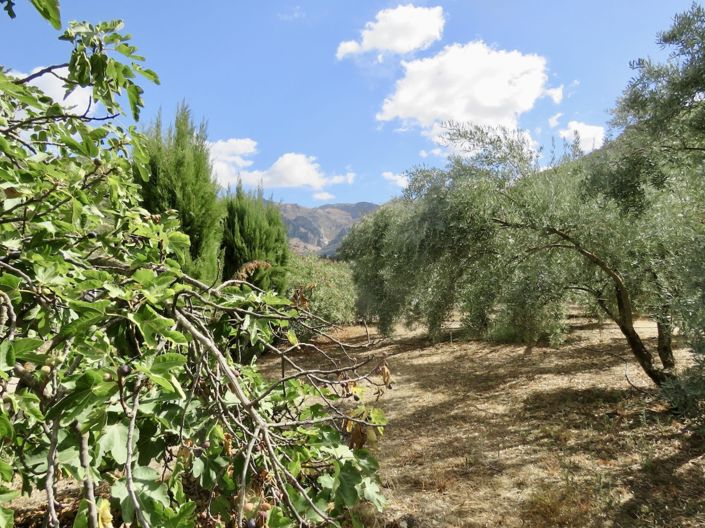 Image No.22-4 Bed Property for sale