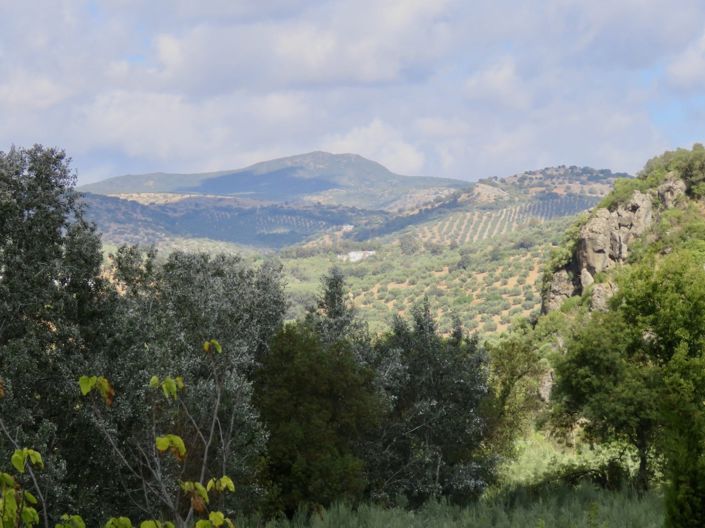 Image No.6-4 Bed Property for sale