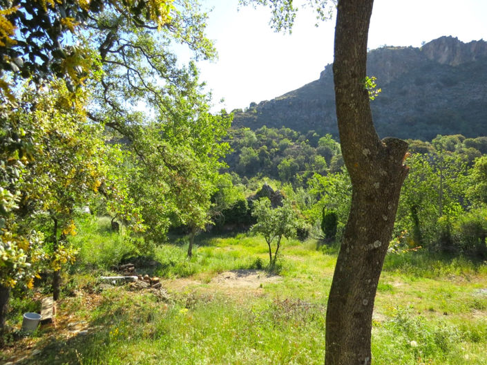 Image No.37-3 Bed Property for sale