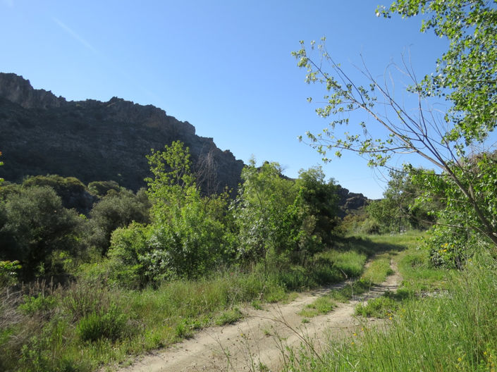 Image No.41-3 Bed Property for sale