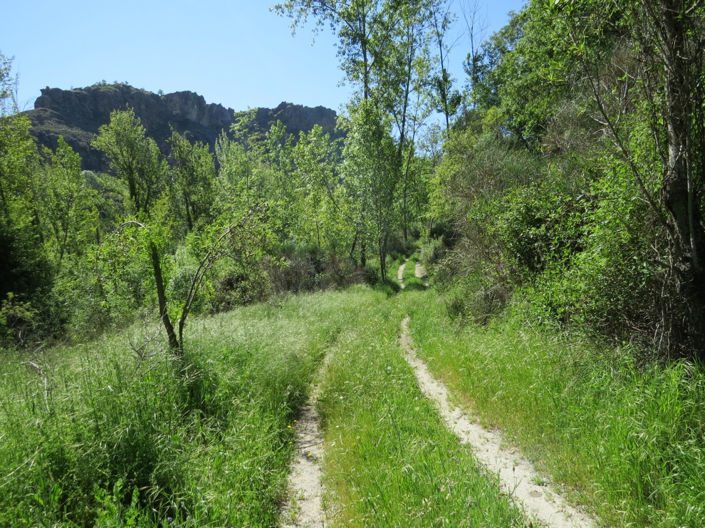 Image No.45-3 Bed Property for sale