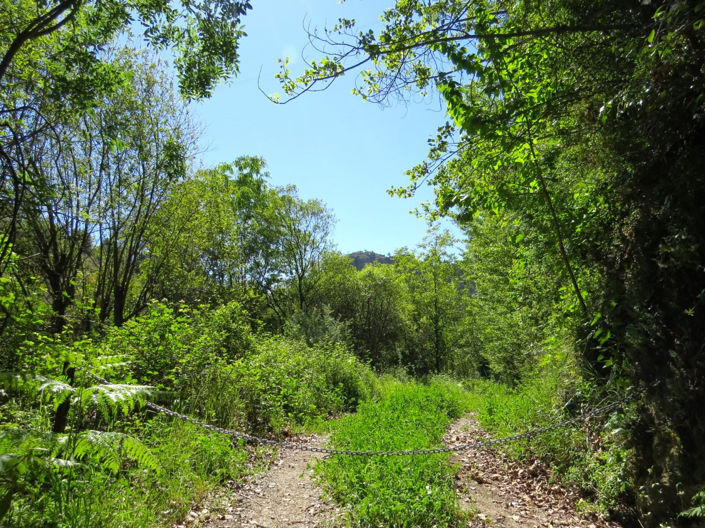 Image No.46-3 Bed Property for sale