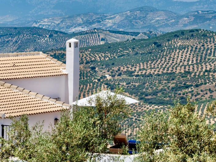 Image No.10-Propriété de 5 chambres à vendre à Zagra