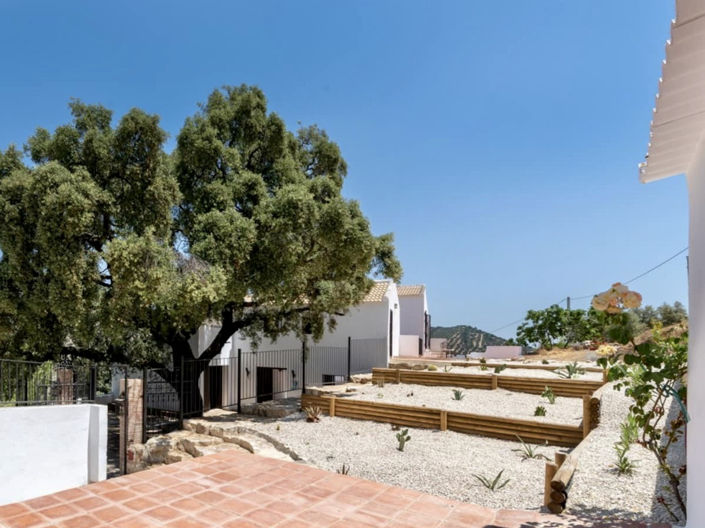 Image No.34-Propriété de 5 chambres à vendre à Zagra