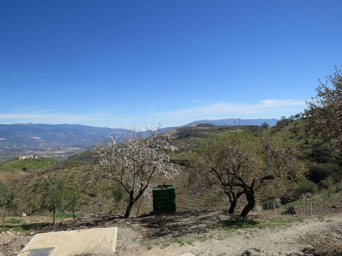 Image No.24-4 Bed Property for sale