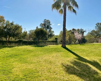 491jardin1-copia-copia2