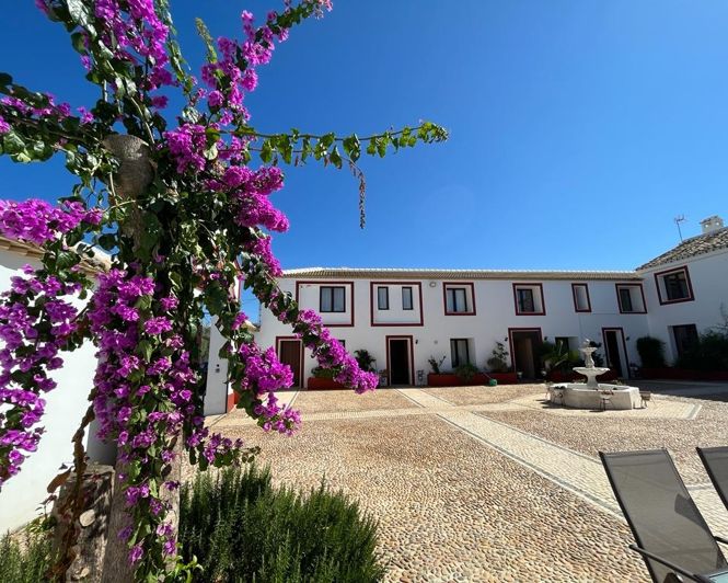 Image No.5-10 Bed Property for sale