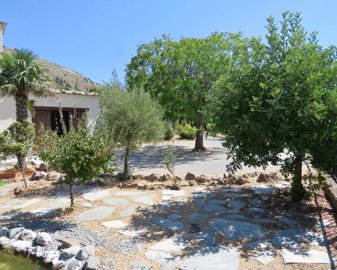 494photo7