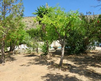 494photo15