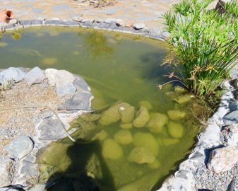 494photo1