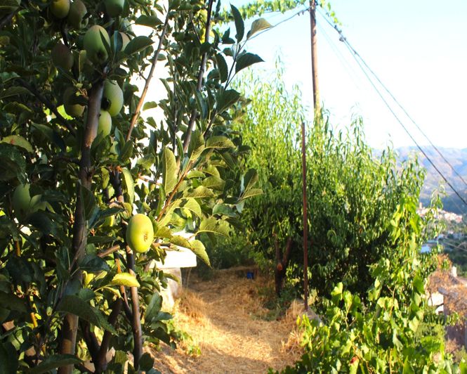 Image No.39-3 Bed Property for sale