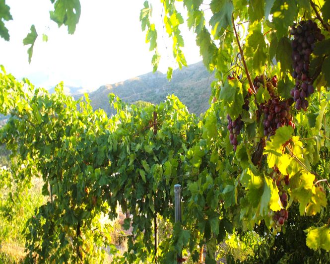 Image No.40-3 Bed Property for sale