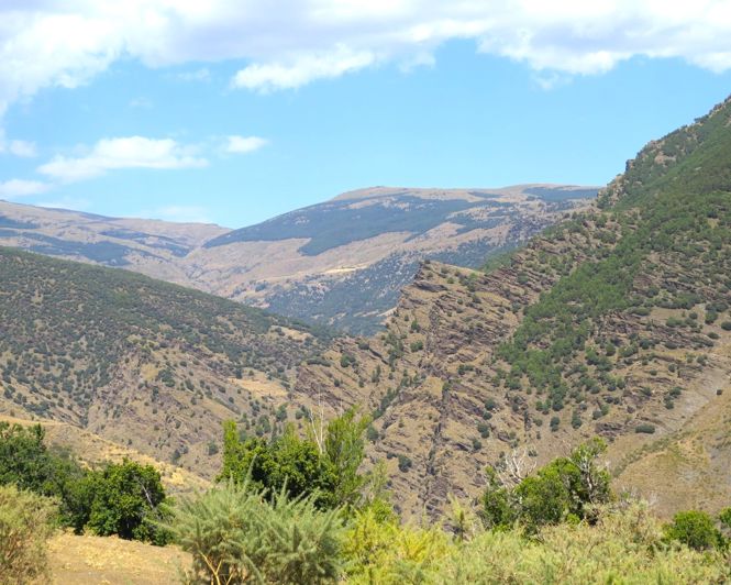 Image No.40-3 Bed Property for sale