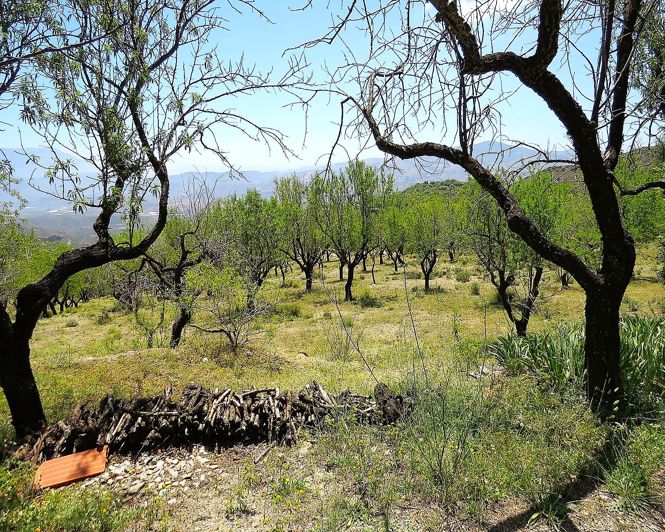 Image No.12-Propriété de 2 chambres à vendre à Mecina-Bombarón