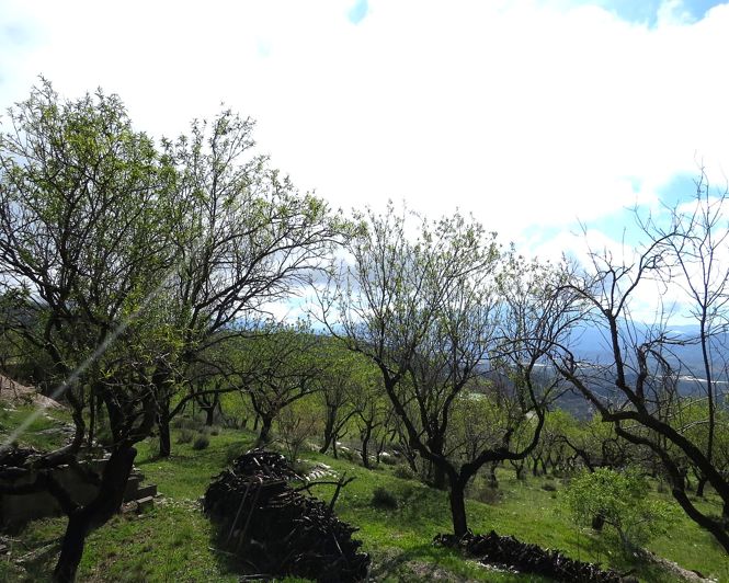 Image No.38-Propriété de 2 chambres à vendre à Mecina-Bombarón