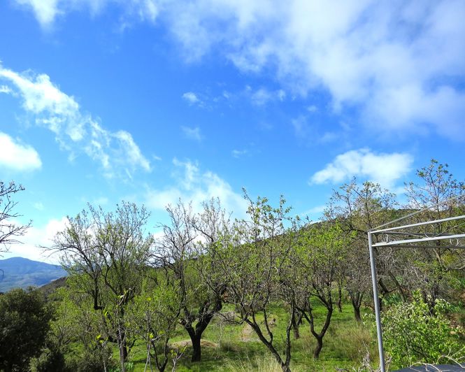 Image No.39-Propriété de 2 chambres à vendre à Mecina-Bombarón