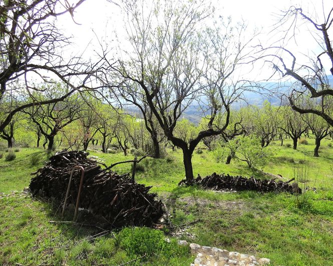 Image No.41-Propriété de 2 chambres à vendre à Mecina-Bombarón