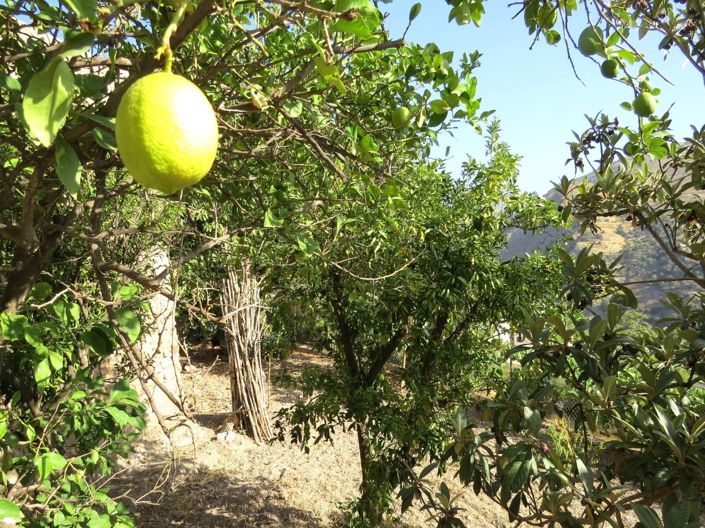 Image No.10-4 Bed Property for sale