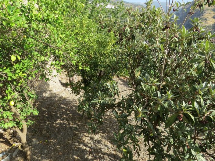 Image No.12-4 Bed Property for sale