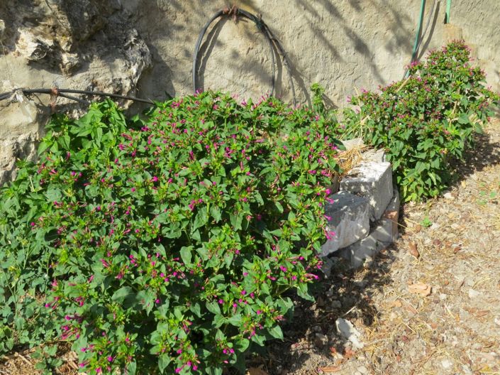 Image No.13-4 Bed Property for sale