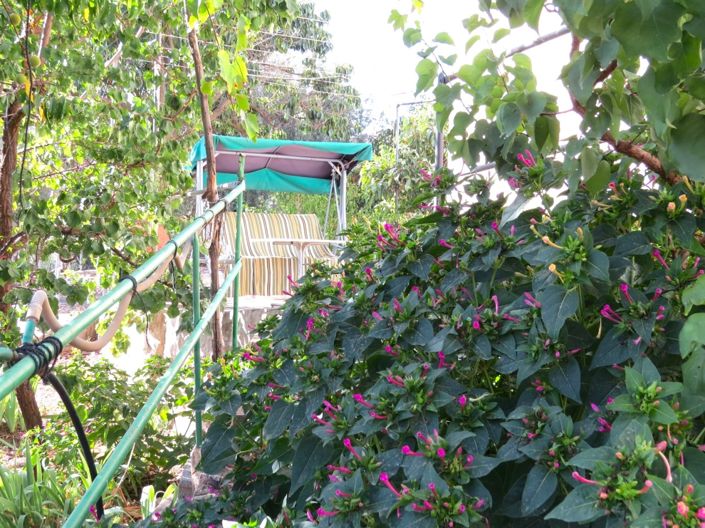 Image No.14-4 Bed Property for sale