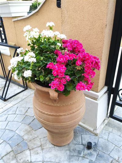 Image No.33-Appartement de 2 chambres à vendre à Sunny Beach