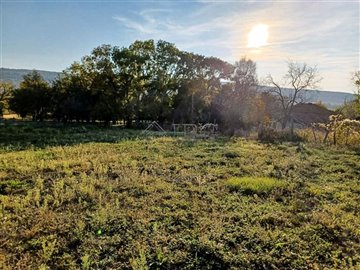 1635939125house-with-big-yard-near-provadia-1