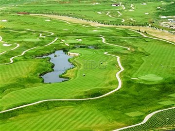 1659440396lighthouse-golf-curses-18