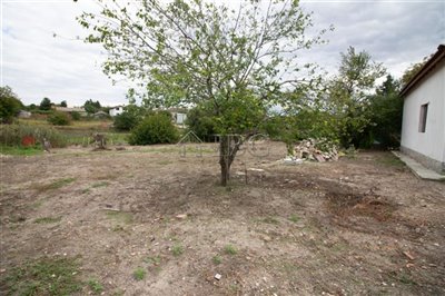 16635883591-bed-renovated-house-with-big-yard