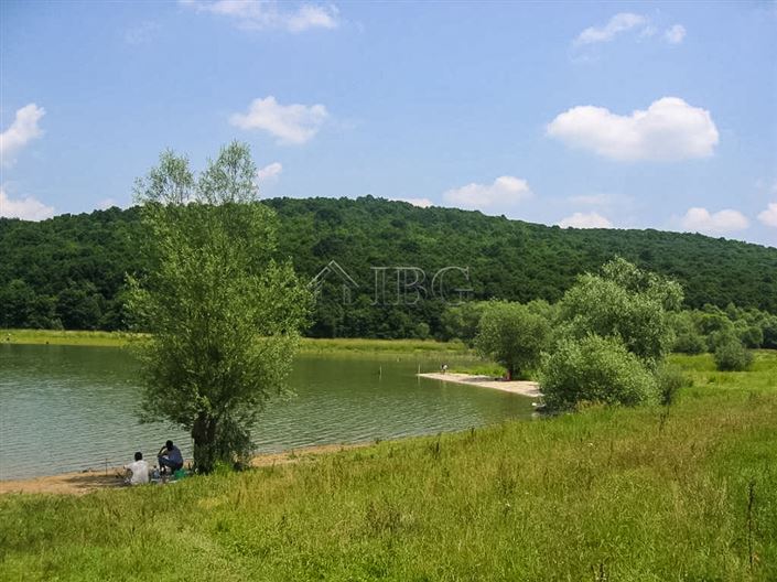 Image No.4-7 Bed Commercial for sale