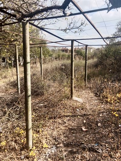 Image No.12-Maison de 3 chambres à vendre à Bulgarie