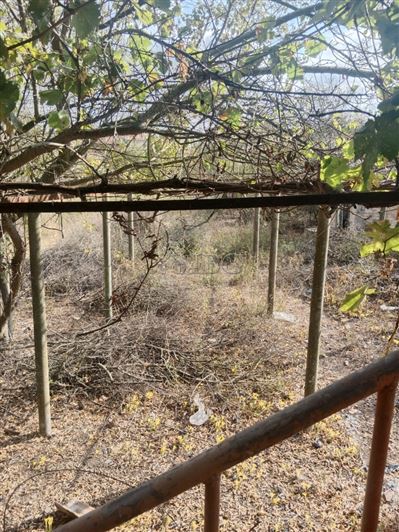 Image No.13-Maison de 3 chambres à vendre à Bulgarie