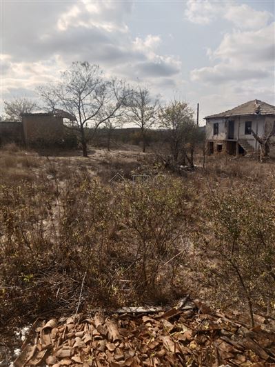 Image No.3-Maison de 3 chambres à vendre à Bulgarie