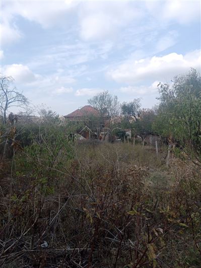 Image No.4-Maison de 3 chambres à vendre à Bulgarie