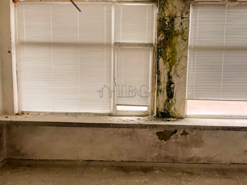 1680683252permise-in-tsar-kaloyan-3