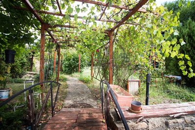 16916681573-bedroom-1-1-2-ruse-area-97