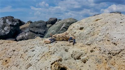 1692261765marina-cape-aheloy-26