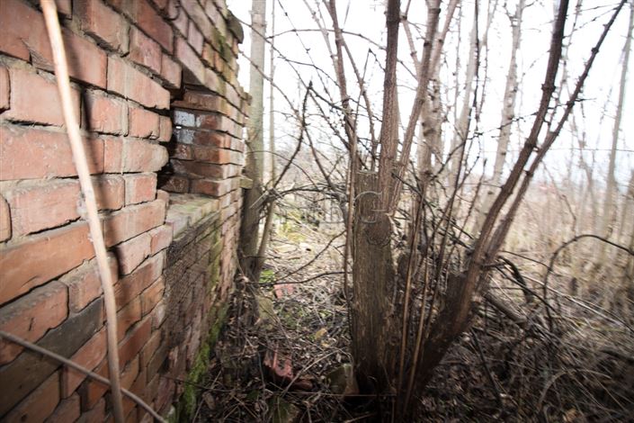 Image No.25-3 Bed House for sale