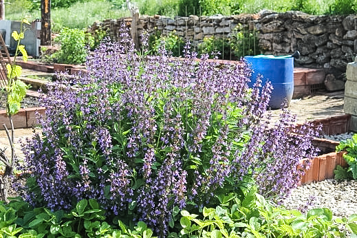 Image No.31-3 Bed House for sale