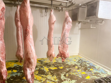 meal-factory-ruse-kaseva-cheshma-ruse-6-1