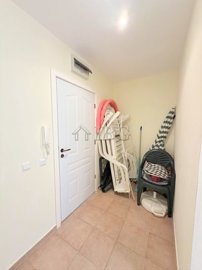 156456154