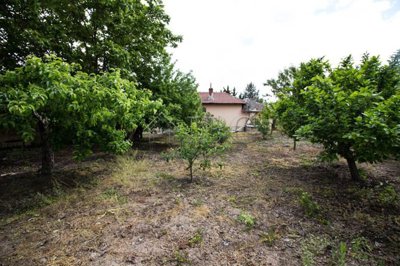 two-bedroom-house-renovated-near-danubeimg312