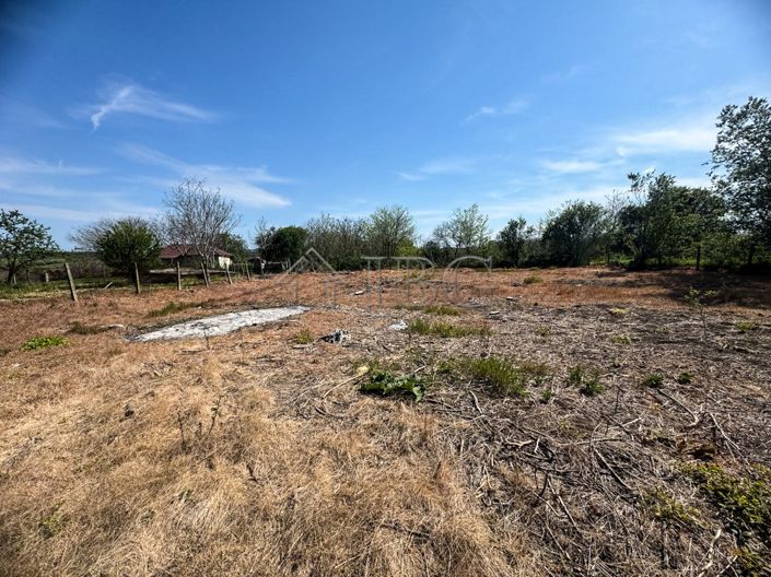 Image No.2-House for sale