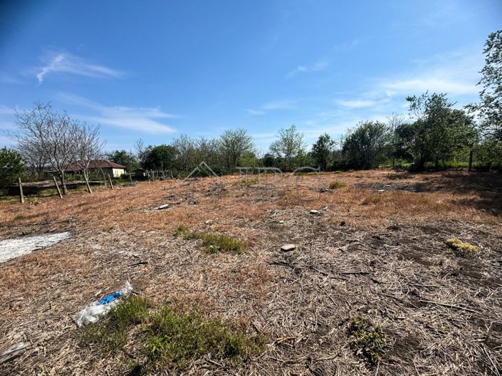 Image No.3-House for sale