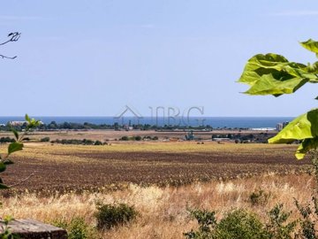 vineyards-resort-house-3-bedrooms-9