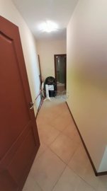 545415646