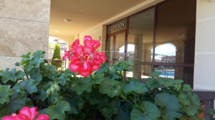 Image No.16-1 Bed Apartment for sale