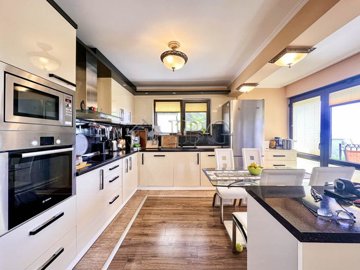 house-with-pool-kosharitsa-10
