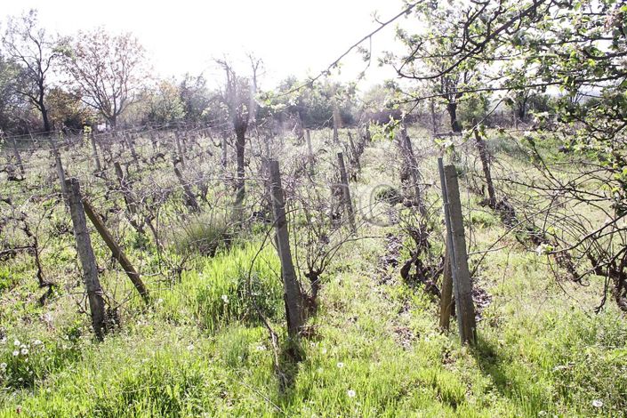 Image No.15-Maison à vendre à Burgas